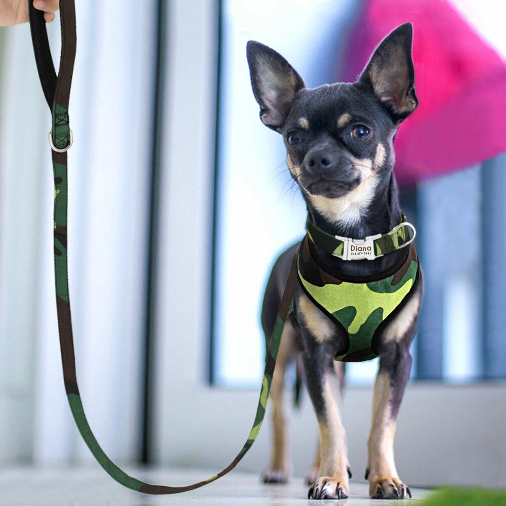 Dog Harness and Leash Set with Personalized Collar Custom Pet Name Soft Mesh XL
