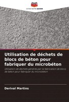 Derival Martins | Utilisation De DéChets De Blocs De BéTon Pour Fabriquer Du...