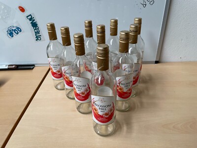 Klare Weinflaschen x 10 mit Tops, Home Brew Weinherstellung Display etc kostenlos UK P & P