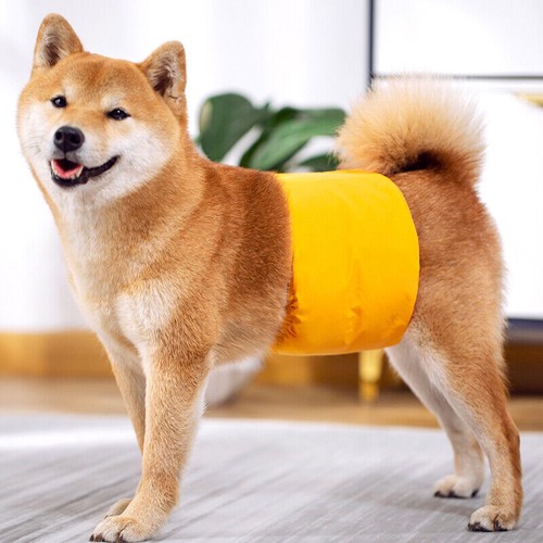 XS-XL Male Dog Puppy Nappy Diaper Belly Wrap Band Sanitary Pants Underpants AU - Picture 10 of 15