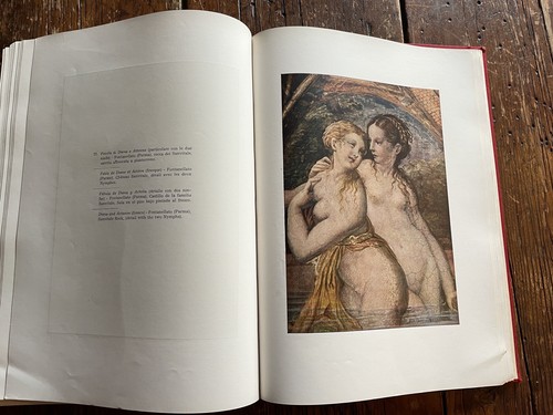 Vtg Italian Art Book Il Parmiganino Armado Ottaviano Quintavalle Coffee Table - Picture 14 of 19