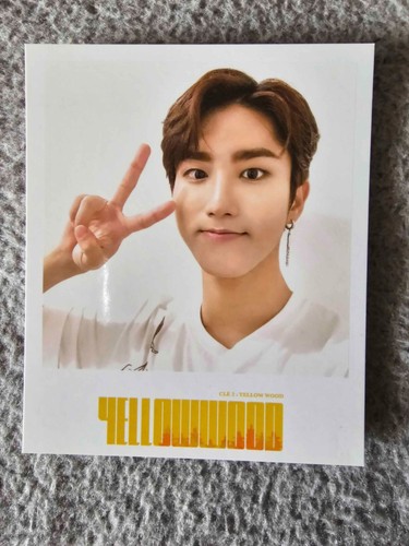Stray Kids Lee Know Minho Han Jisung Taiwan Taiwanese I Am You POLA PC Rare - Foto 7 di 7