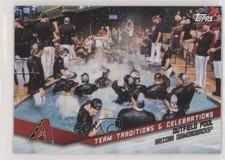2019 Topps Opening Day Team Traditions and Celebrations Outfield Pool 0w8