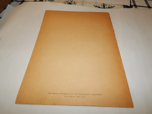 Antique German Childrens Book SierBilderbuch Gaugetiere Soft Cover - 第 6 张/共 6 张