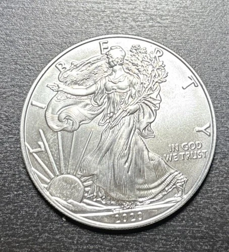 2020 $1 American Silver Eagle 1 Troy Oz .999 Fine Silver, Lower Mintage  *Covid*