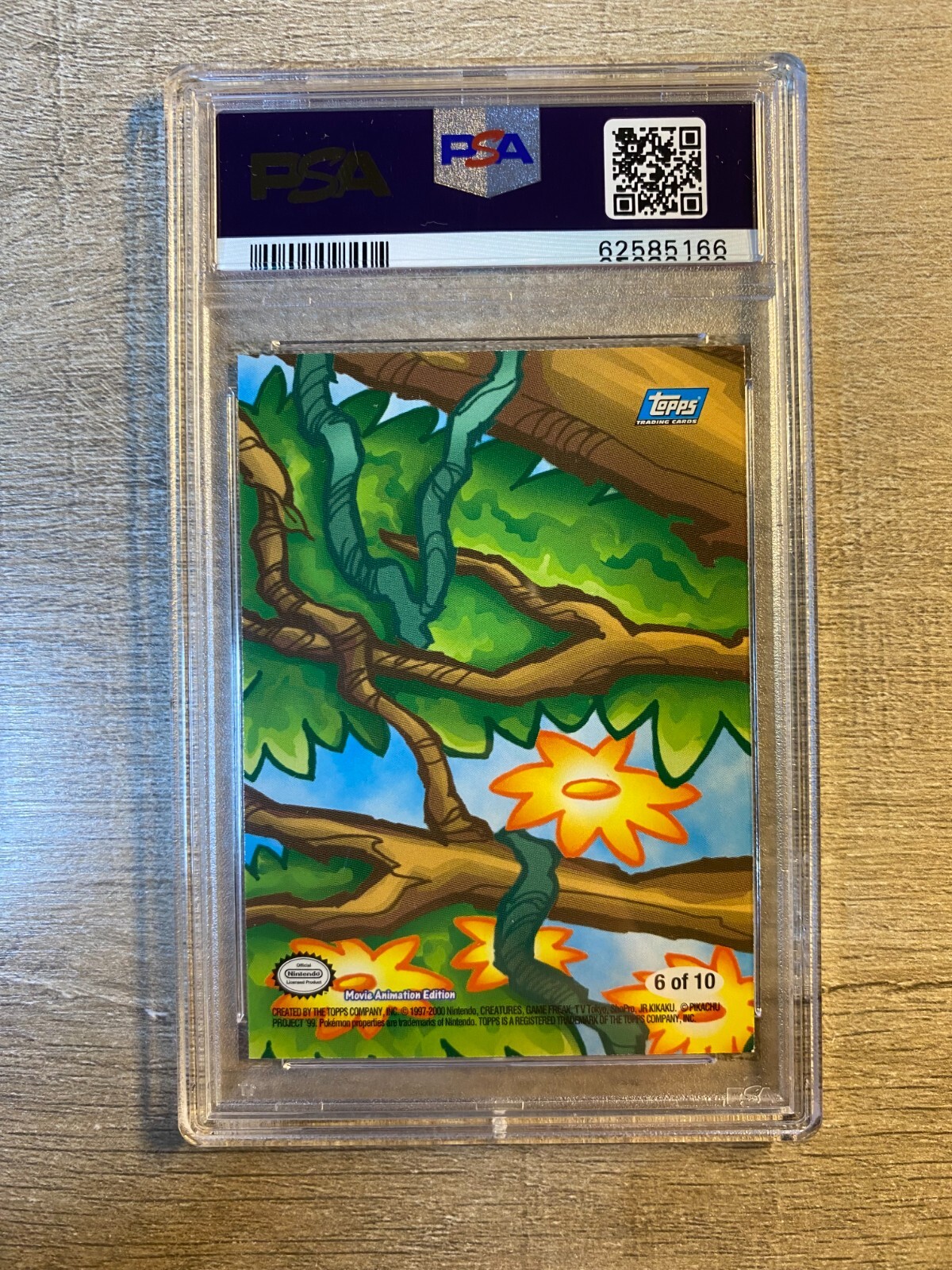 Picture 16 of 24