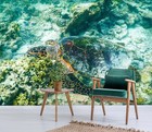 3D Animal Turtle R8072 Wallpaper Wall Mural Self-adhesive Removable Luna
