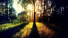 Landscape nature Custom Gaming Mat Desk