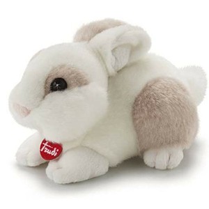 trudi rabbit