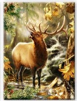 Diamantmosaik-Hirsch Im Wald, 30 X 40 Cm