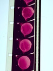 1972 CRACKER JACK TV  COMMERCIAL SPOT 16mm Movie film Doyle Dane Bernbach VTG — photo 8