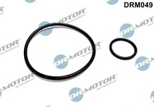Dr.Motor Automotive DRM049 Seal Set, vacuum pump for CITROËN,FIAT,FORD,LANCIA,PE