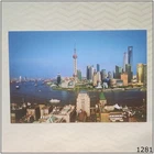 China Shanghai New Buildings Large Postcard (P1281)