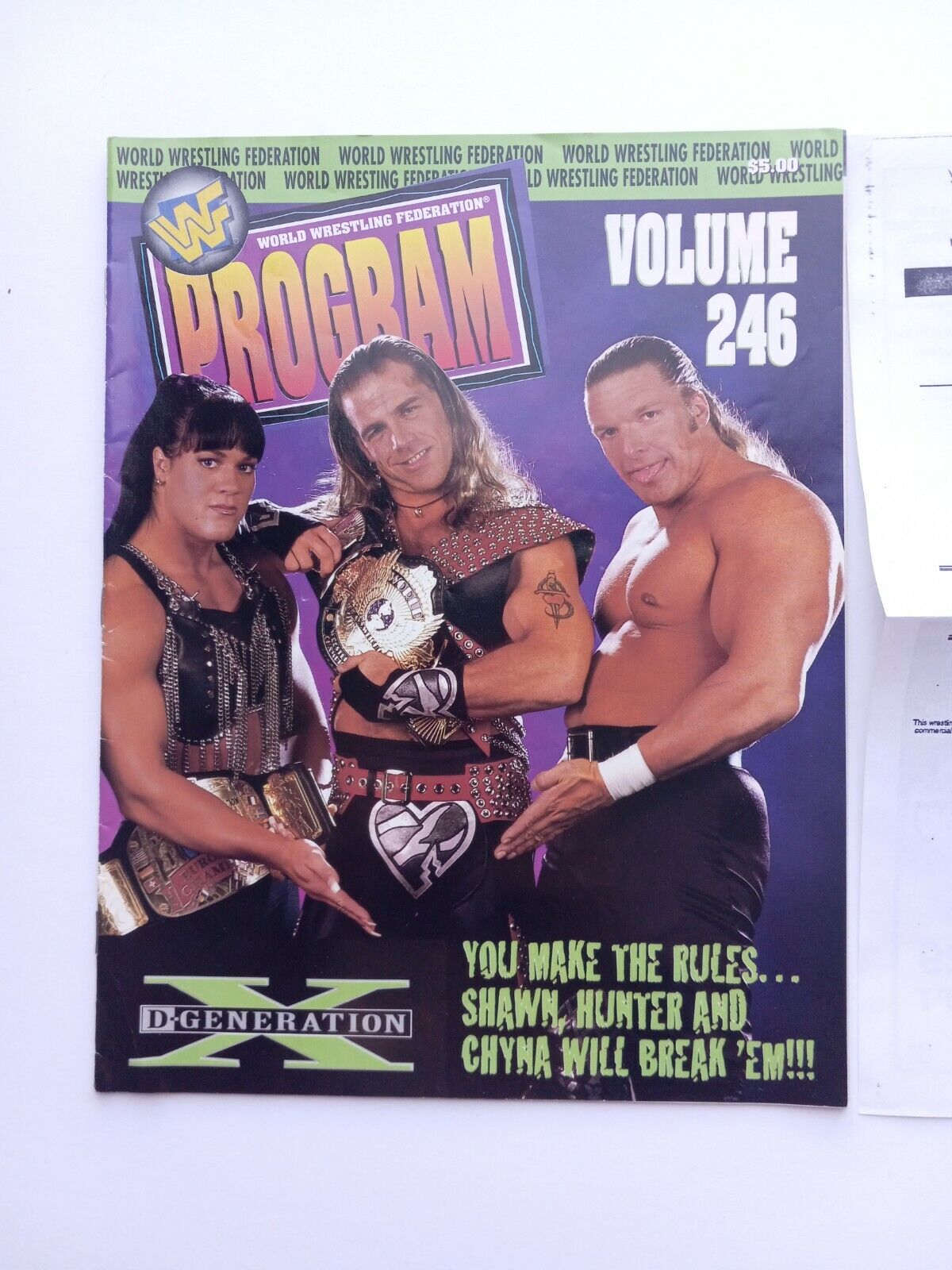 WWF Lineup Sheet Orlando 1/10/93 1993 Program Magazine 209 Shawn