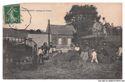 CAR-AEGP3-0168-14 - IN Normandy - Fender Of Grains