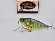 Vtg. Bagley Monster Shad In Pretty Green Stripe on Chartreuse Florida Made Bait