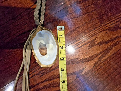 Gold-rimmed oyster shell long necklace with leather rope tassel - Picture 5 of 6