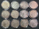 Lot of (12) Pre-1921 Morgan Silver Dollars.   Some Beautiful!     #M61239-D