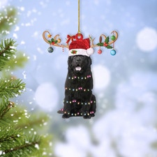 Newfoundland Dog Merry Christmas Ornament, Newfoundland Dog Xmas Lights Ornament