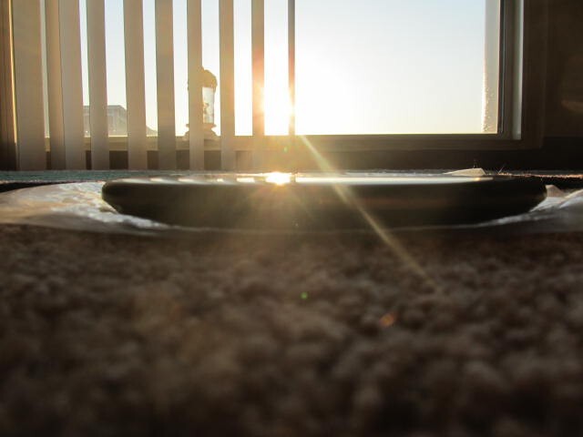 Discraft Zone GREY ESP Paul McBeth w/MoneyFoil MCB6XST & Silver Colorshift Swirl