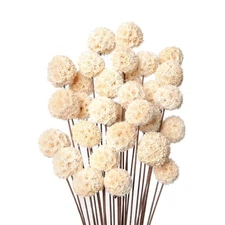 30 PCs Billy Ball Craspedia Bouquet: Natural Dried Flowers for Vase, Boho Dec...