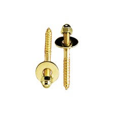 PlumbPak PP835-151 Toilet Screws 1/4-Inch 20 by 2 1/2-Inch Solid Brass,