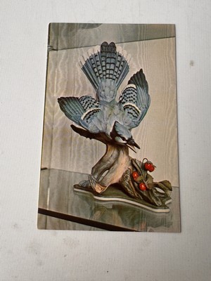 blue jays，american camellia society headquarters，vintage postcard