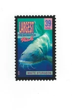 STAMP US SCOTT 4061 "White Sturgeon, Largest Freshwater Fish" 39 CENT 2006 MNH