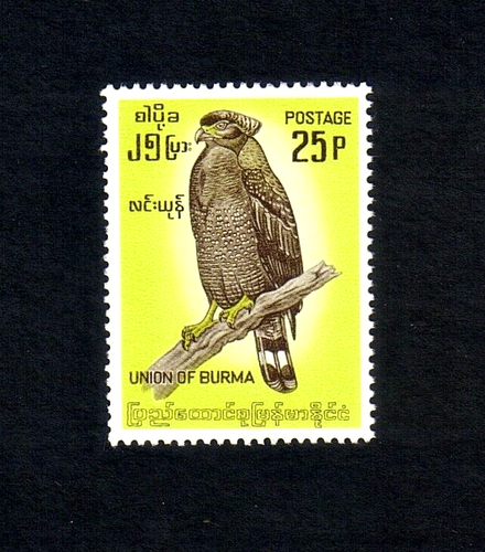 Burma 1964 Burmese Birds / Crested Serpent Eagle single value (SG 181) MNH - 第 1/1 張圖片