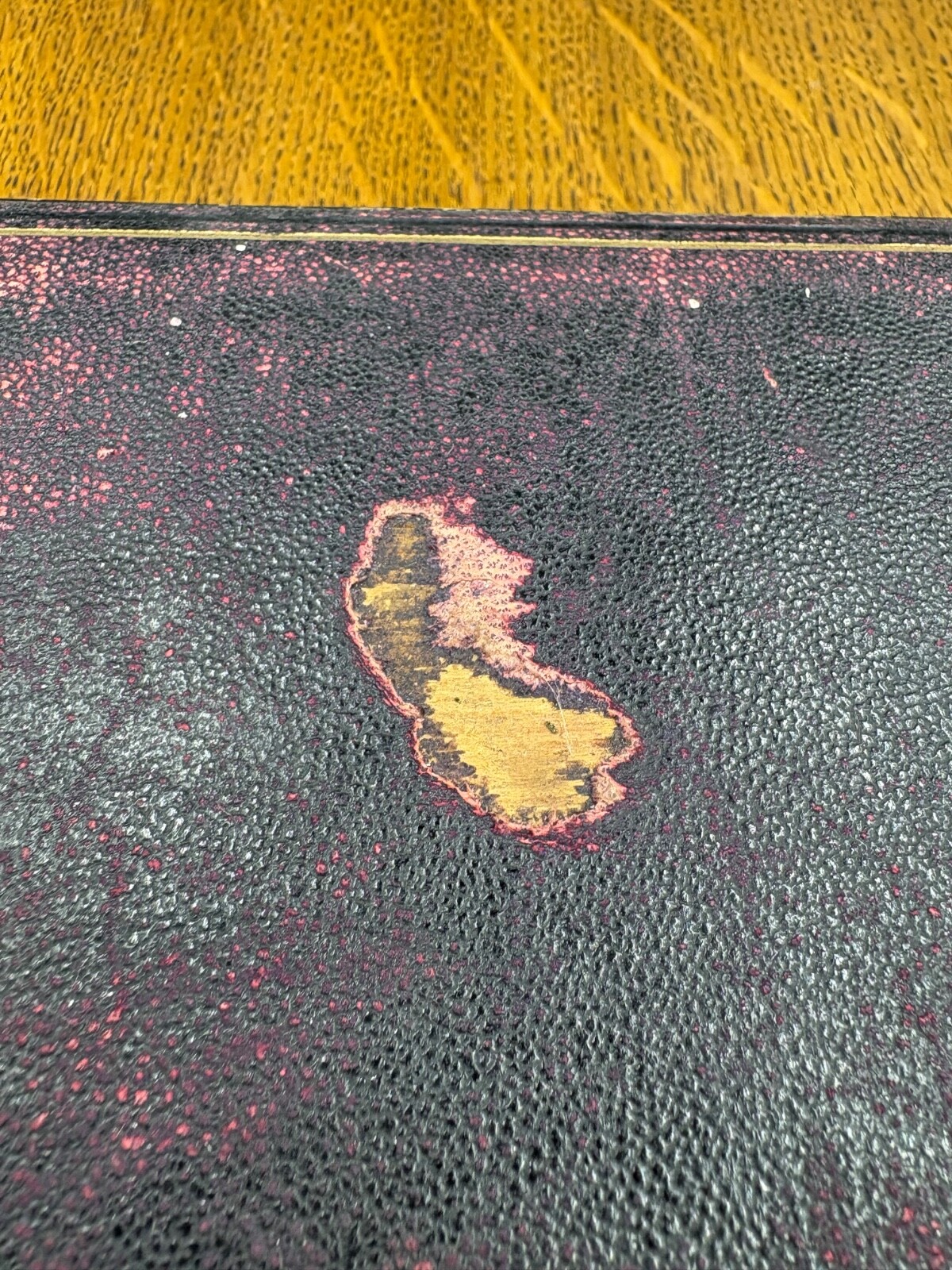 Picture 3 of 19