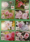 DR WHO CHINA PRC 12 FDC MAXIMUM CARD TREE/FLOWER R63100
