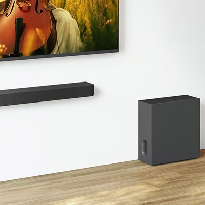 SONY BRAVIA Theatre Sub 7 Wireless Subwoofer SA-SW7 | eBay