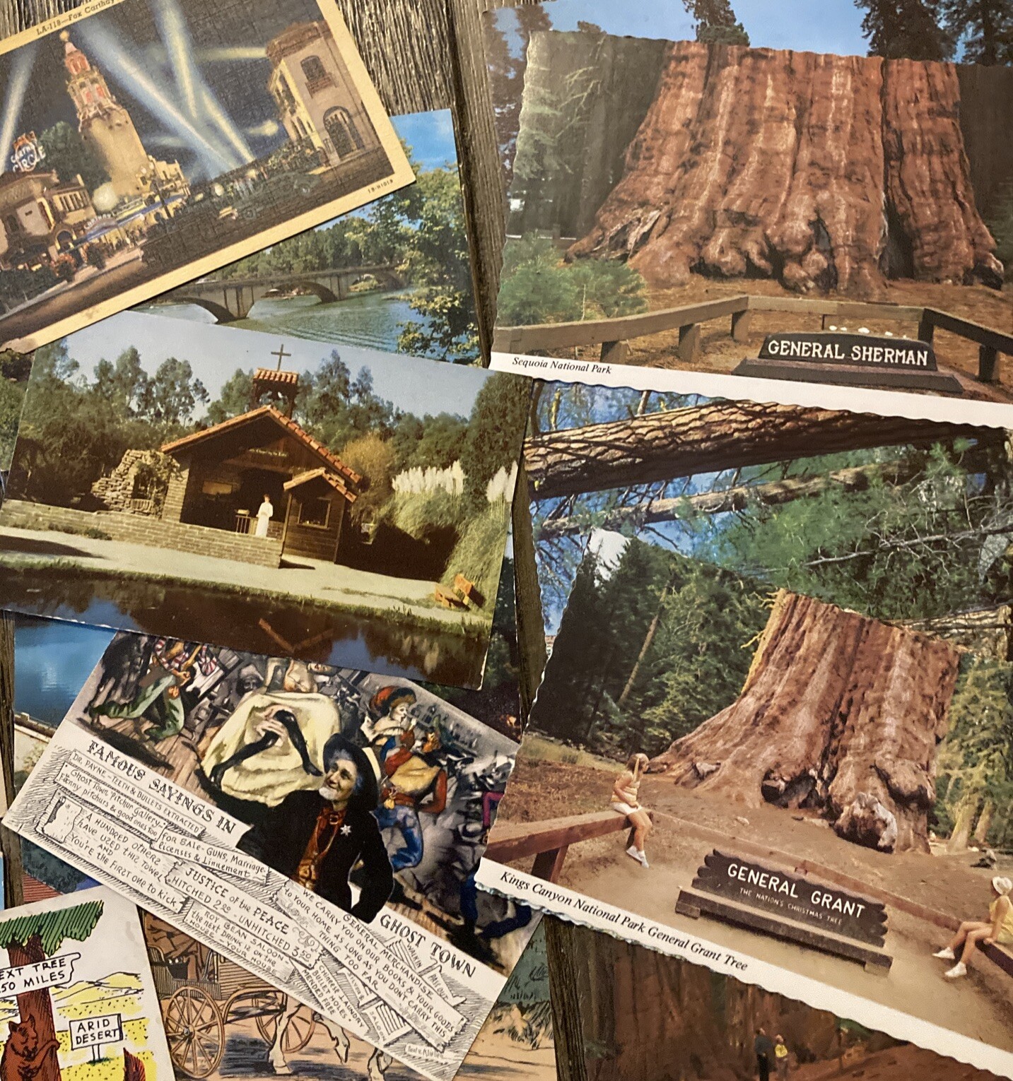 (G) Antique Vintage Mixed LOT of 50 Postcards Giant Redwoods Old Cars