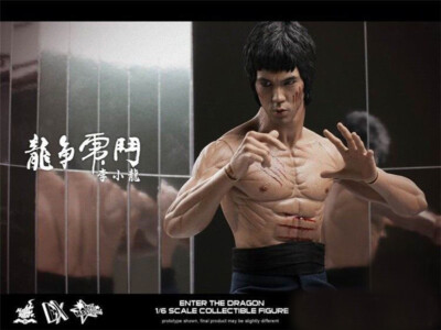 HOTOYS HT DX04 Bruce Lee 1/6 Enter the Dragon Figure Model Toys