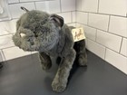 Vtg Avanti Applause Jockline Russian Blue Cat 1987 Animal Collection Tag