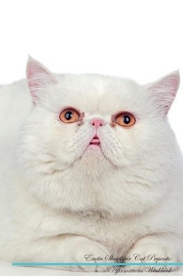 Exotic Shorthair Cat Affirmations Workbook Exotic Shorthair C... - 9781526969965