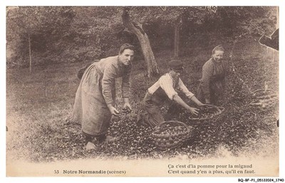 BQ-BFP1-0871-BUSINESS - that's 'the apple for the migaud - that's when there's any