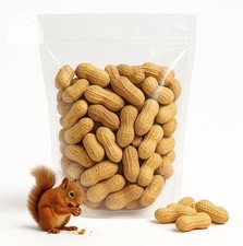 Raw Peanuts in Shell 4 lb Whole Nuts for Birds Squirrels Fee 4 Pound Pack of 1 