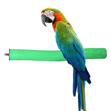 Bird Perch Rough-Surfaced Natural Wood Stand Toy Branch for Parrots  Large Bird