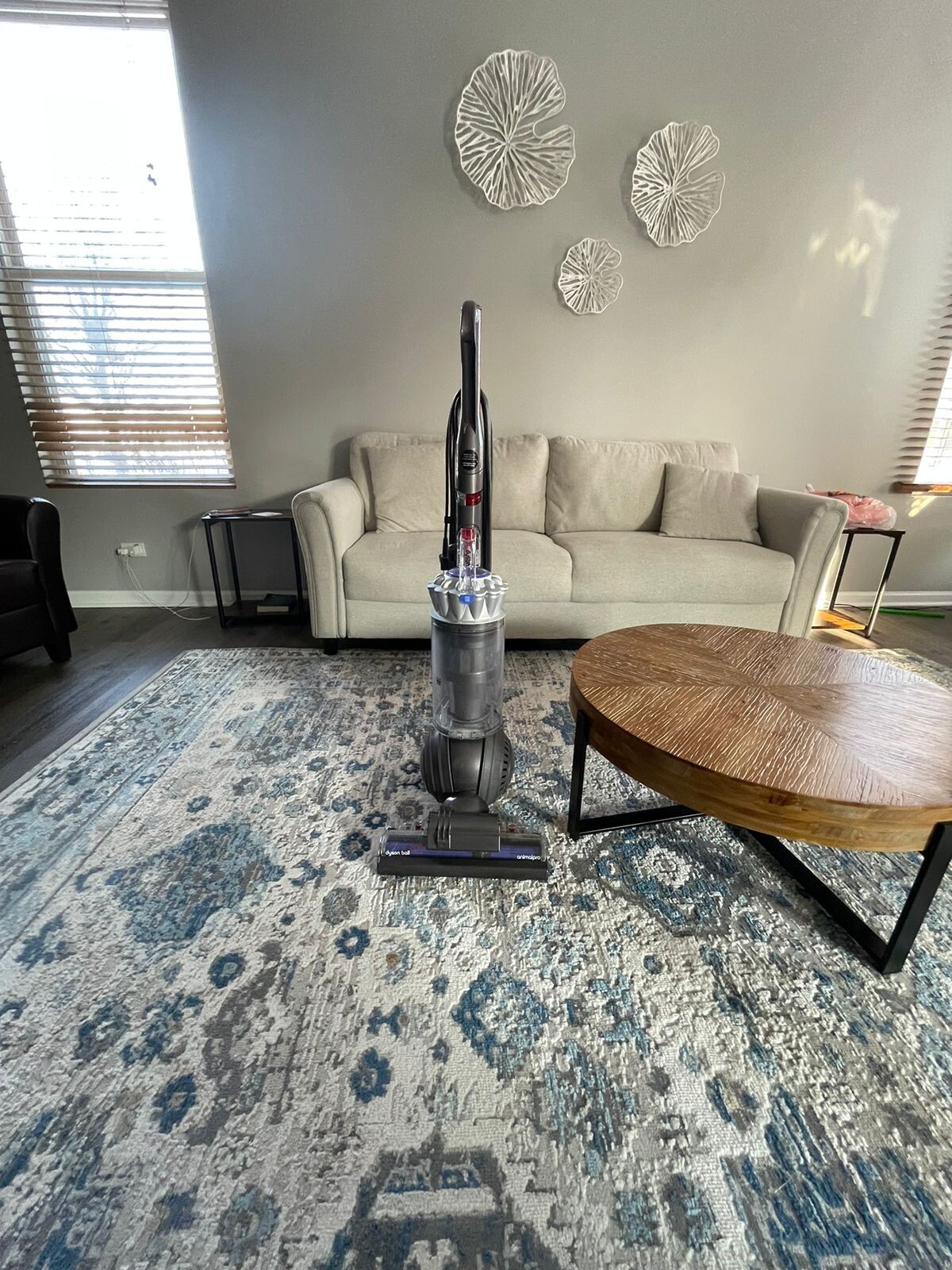 Dyson Ball Animal PRO+ Upright Vacuum Cleaner Silver 885609027869 eBay