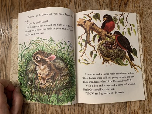 Vintage 1975 Little Cottontail Little Golden Book Carl Memling Lillian Obligado - Picture 5 of 12