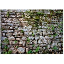 Overgrown Ancient Rock Stones Backdrop 7x5ft