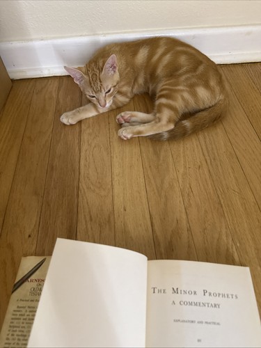 Barnes' Notes on the Old and New Testaments: Volume 1 Minor Profits,(1977) - Picture 4 of 11