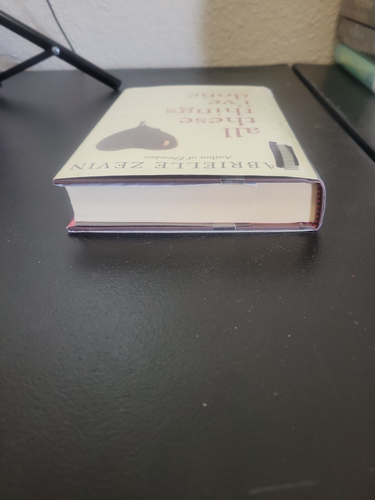 All These Things I've Done A Novel by Gabrielle Zevin