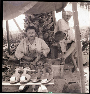 Israel Many immigrants Pardess Channa camp possess skills which the- 1949 Photo