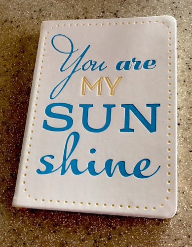 you are my sun shine, blank page journal, used, 2013