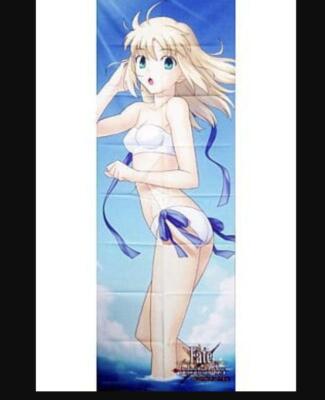 Fate/unlimited codes Saber fabric poster MIJ