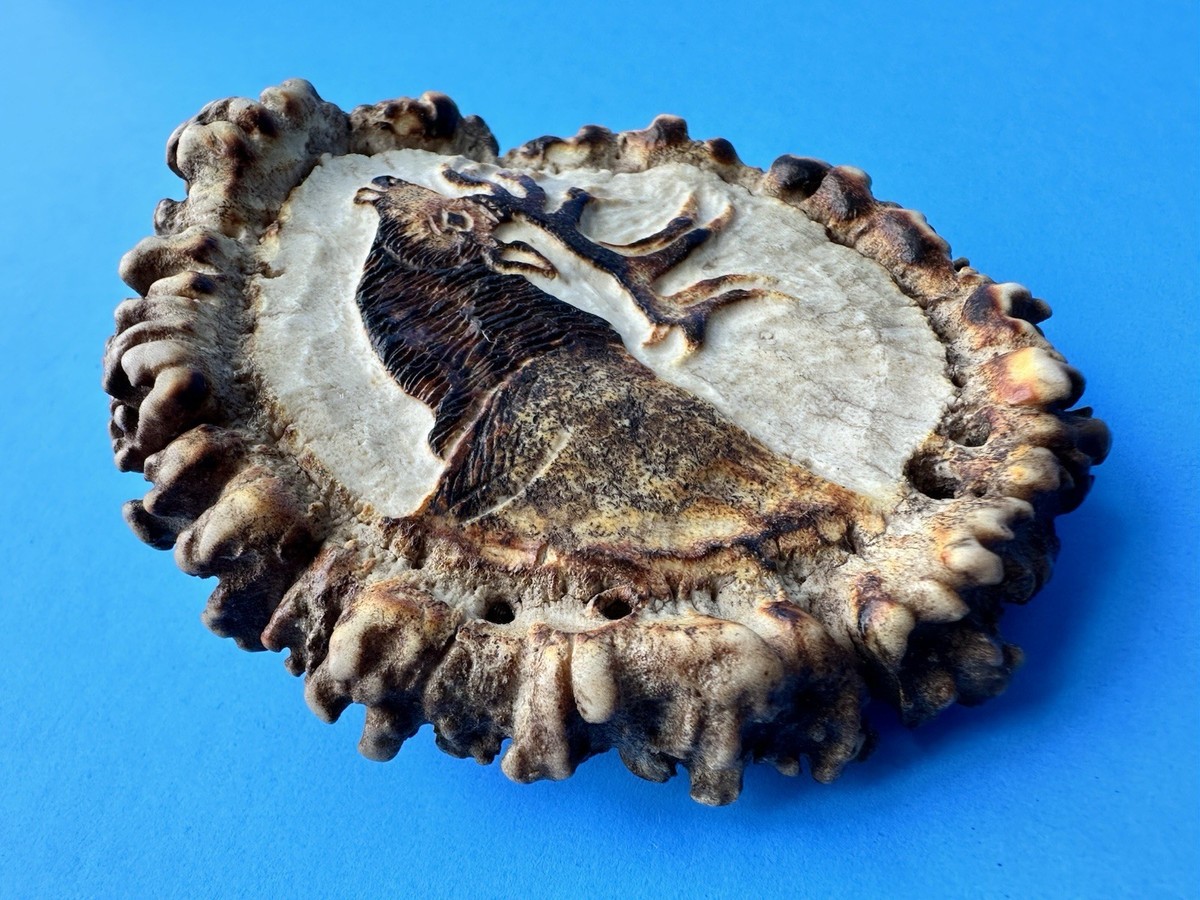 Vintage Elk Antler Belt Buckle Hand Carved M Horvat Western Rustic View 3