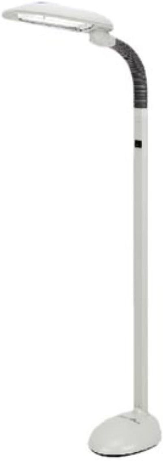 Energy-Saving Floor Lamp with Ionizer for Easy Eye Comfort  