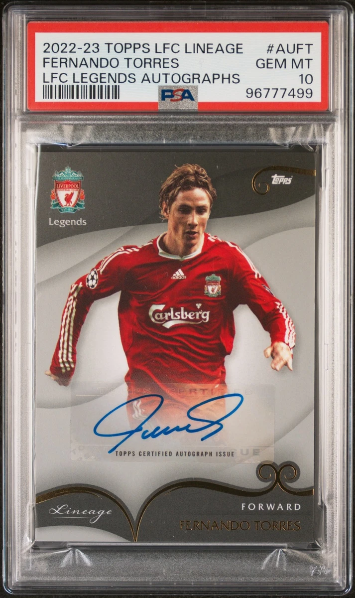 fernando torres | eBay
